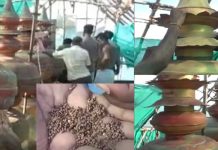 திருச்செந்தூர் கோவில் கலச நவதானியம் 12 ஆண்டுகளுக்கு பின் அதிசயம் பக்தர்கள் பரவசம்!