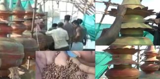 திருச்செந்தூர் கோவில் கலச நவதானியம் 12 ஆண்டுகளுக்கு பின் அதிசயம் பக்தர்கள் பரவசம்!